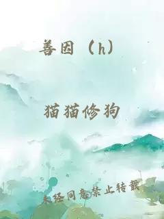 善因（h）
