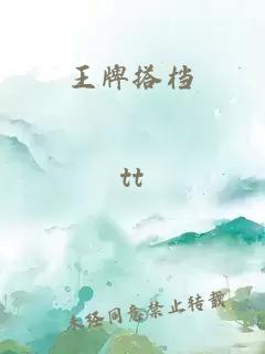 王牌搭档