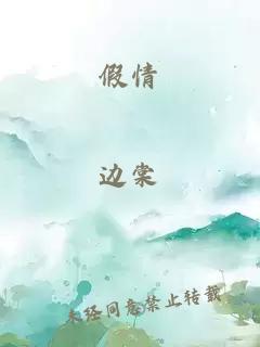 假情