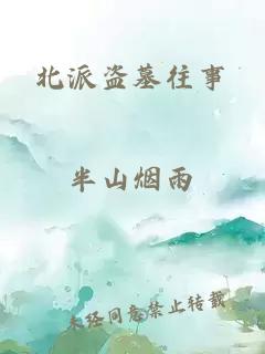 北派盗墓往事