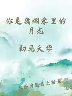 你是我烟雾里的月光