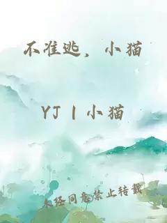 不准逃，小猫