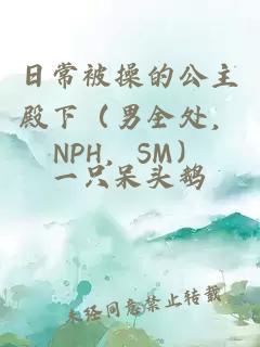 日常被操的公主殿下（男全处，NPH，SM）