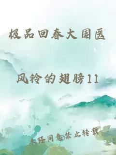 极品回春大国医