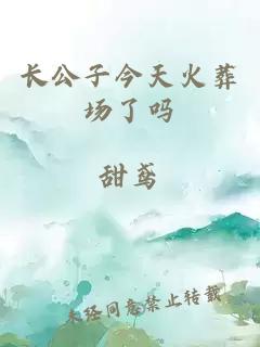 长公子今天火葬场了吗