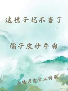 这世子妃不当了
