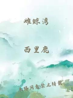 雌鲸湾