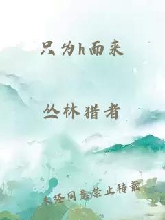 只为h而来