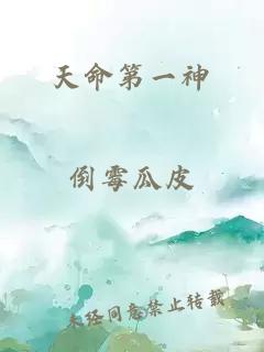 天命第一神
