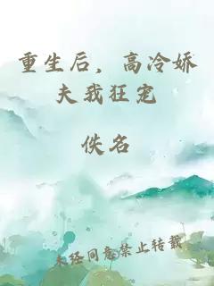 重生后，高冷娇夫我狂宠