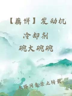 【藕饼】发动机冷却剂