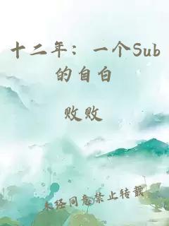 十二年：一个Sub的自白