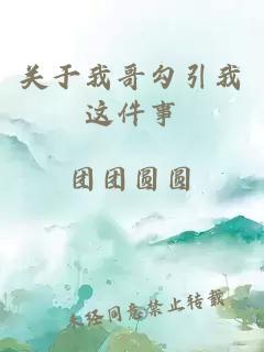 关于我哥勾引我这件事