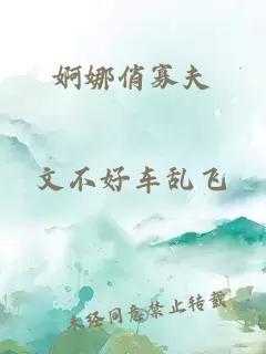 婀娜俏寡夫