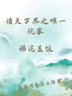 诸天万界之唯一玩家