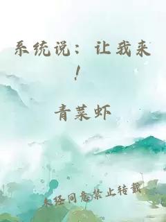 系统说：让我来！
