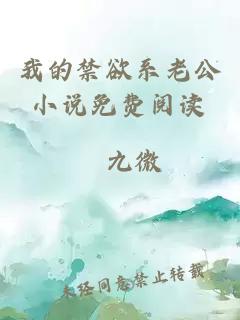 我的禁欲系老公小说免费阅读