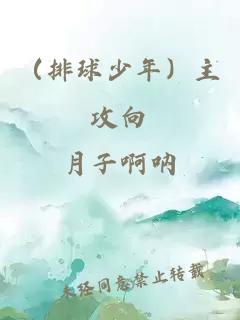 （排球少年）主攻向