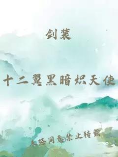 剑装