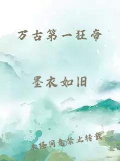 万古第一狂帝