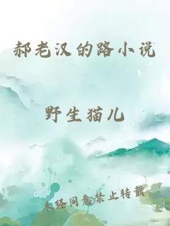 郝老汉的路小说